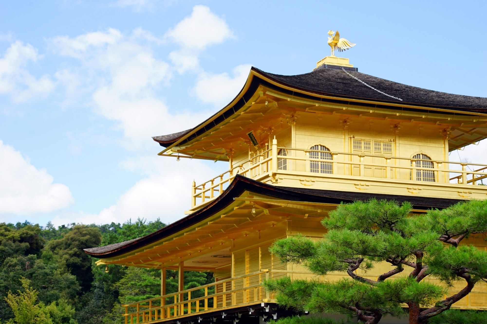 Stay Sakura Kyoto Zen Luaran gambar